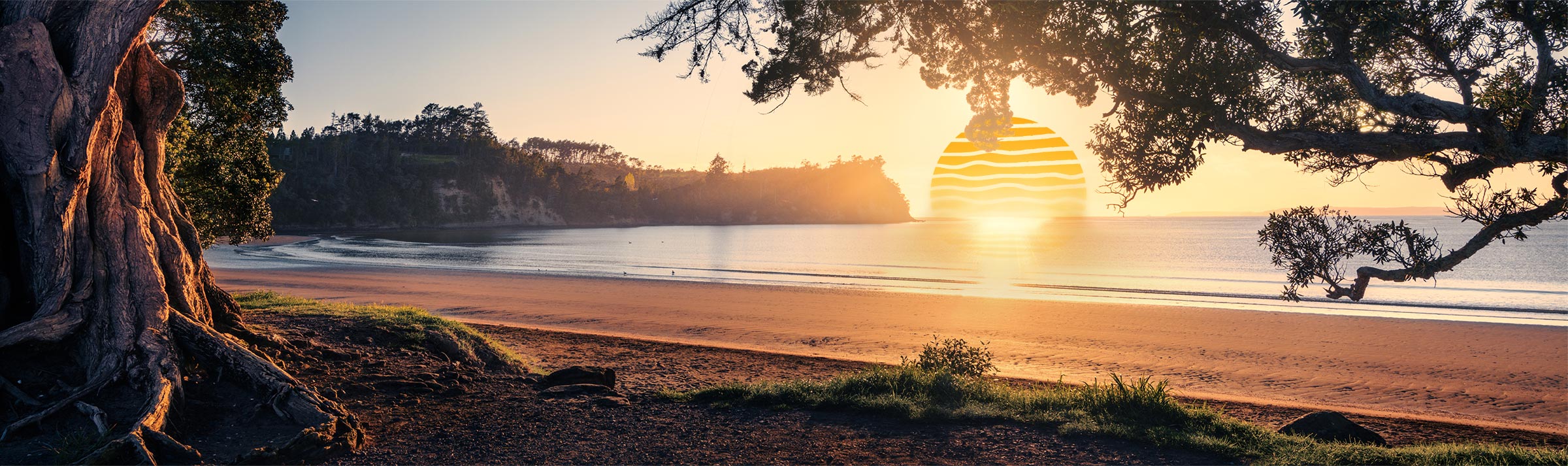 orewa-tree-composite-directors