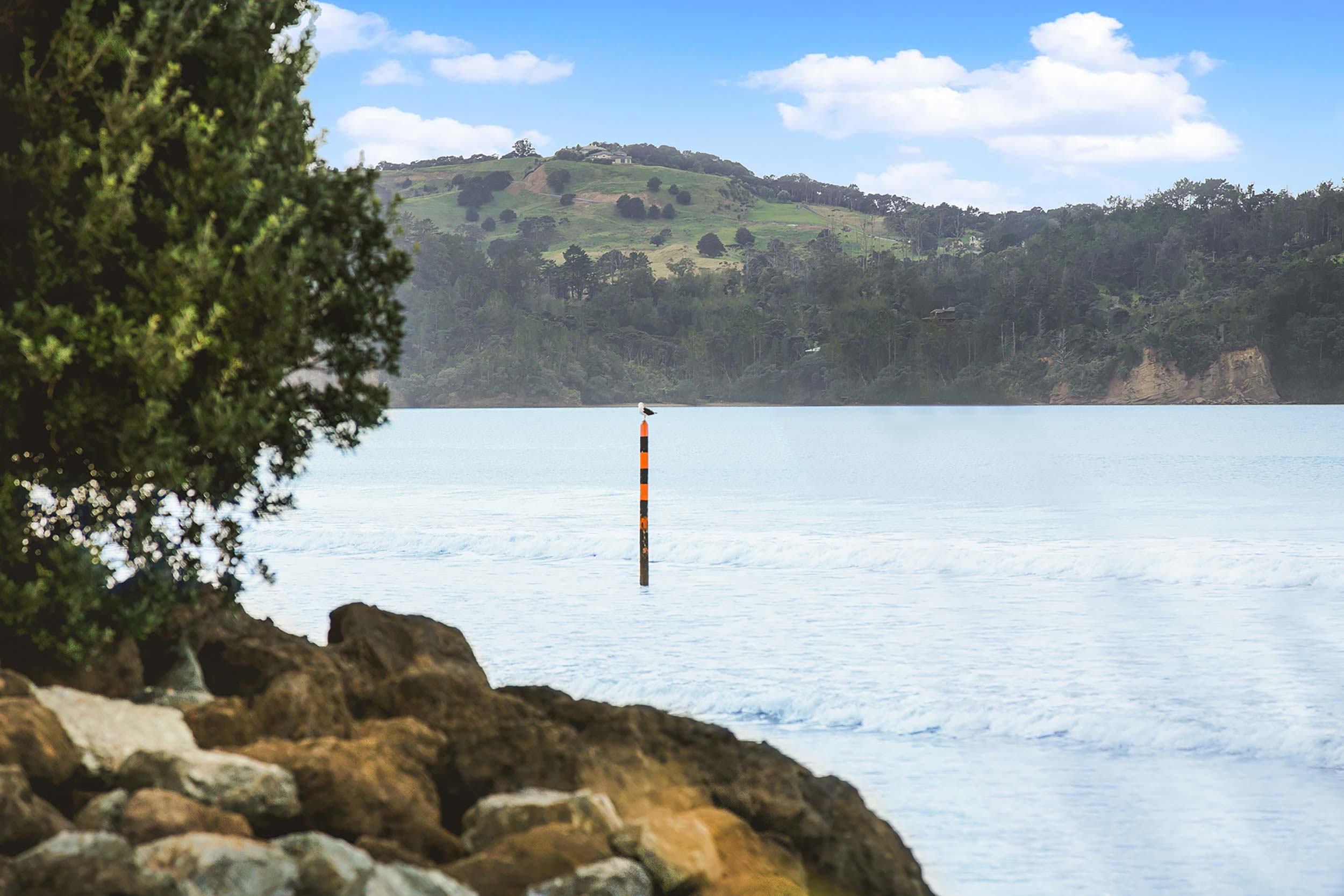 Seagull standing on a pole in the ocean at Orewa beach